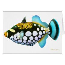 Clown Triggerfish Card