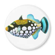 Clown Triggerfish Magnet