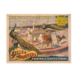 Clown, Zebu and Peacock Circus Poster
