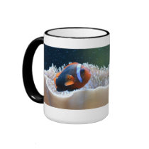 Clownfish in Soft Coral Mug