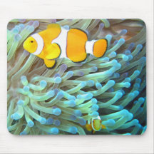 Clownfish Mouse Mats