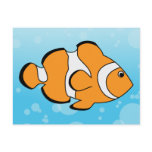 Clownfish postcards