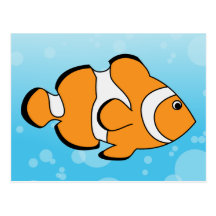 Clownfish Postcard