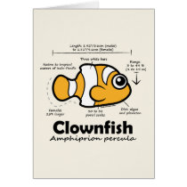 Clownfish Statistics