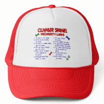 CLUMBER SPANIEL Property Laws 2