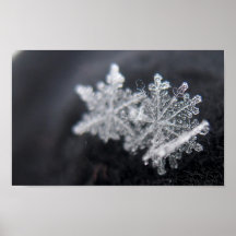 Cluster of Crystals Posters