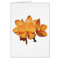 Cluster of Orange Orchids Cards