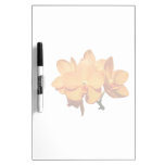 Cluster of Orange Orchids Dry-Erase Whiteboards