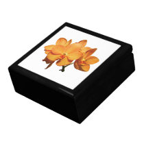 Cluster of Orange Orchids