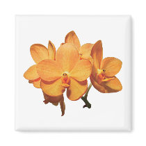 Cluster of Orange Orchids Fridge Magnet