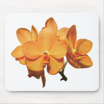 Cluster of Orange Orchids Mouse Mats
