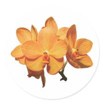 Cluster of Orange Orchids Stickers