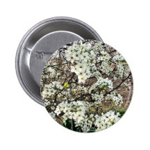 Cluster of Pear Tree Blossoms Buttons