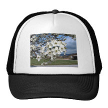 Cluster of Pear Tree flowers blossoming on a sunny Mesh Hat