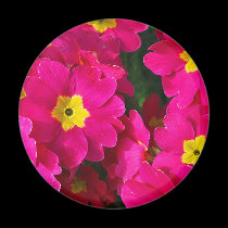 Cluster of Pink magnets