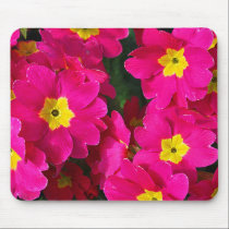 Cluster of Pink mousepads