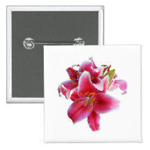 Cluster of Stargazer Lilies Pinback Button