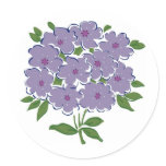 Cluster of Violets Image