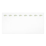 Cluster of White Daisies Photo Cards