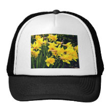 Cluster of Yellow Daffodils blossoming Trucker Hat