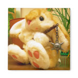 Clyde da Bunny magnets