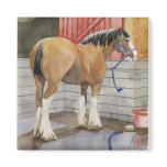 Clydes Gonna Get A Bath magnets