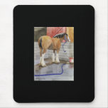 Clydes Gonna Get A Bath mousepads