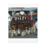Clydesdale 6 horse hitch post cards