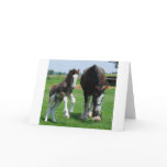 clydesdale and filly cards