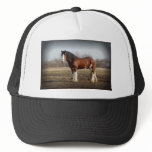 clydesdale black border hats