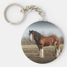 clydesdale black border key chains