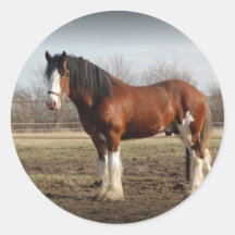clydesdale black border round sticker