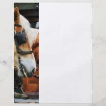 Clydesdale Closeup Personalized Flyer