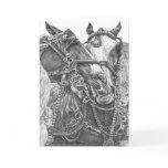Clydesdale Draught   Horse Drawing by Kelli Swan