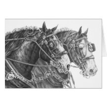 Clydesdale Draught   Horse Drawing by Kelli Swan Card
