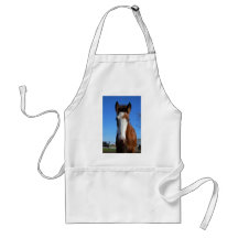 Clydesdale filly apron