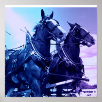 Clydesdale Horse Poster Print