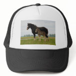 clydesdale mare and filly mesh hats