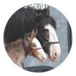clydesdale mare and filly stickers