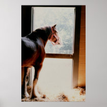 Clydesdale Poster
