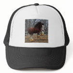 Clydesdale stud colt running trucker hats