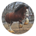 Clydesdale stud colt running round sticker
