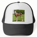clydesdale stud mesh hat