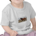 clydesdale white border t-shirts