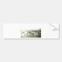 Clydesdales Bumper Stickers