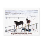 CLYDESDALES IN THE SNOW POSTCARD