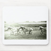 Clydesdales Mousepads
