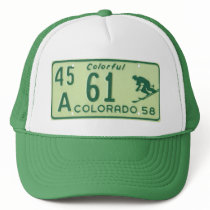 CO58 MESH HATS
