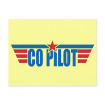 Co-Pilot Wings Badge - Aviation