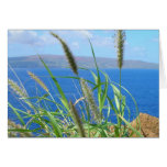 Coastal Cliff Card